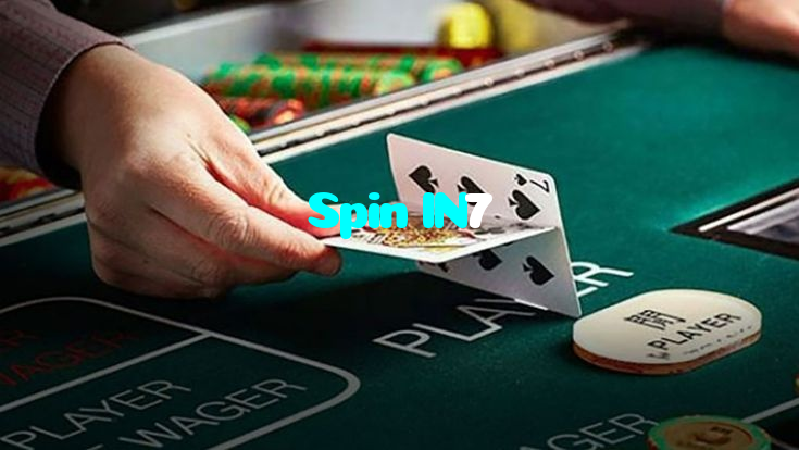 Spin IN7